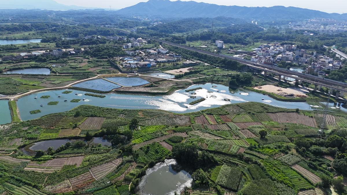 湖口县某流域水环境综合治理工程